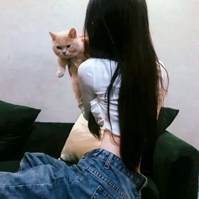 冷面笑匠 在线观看